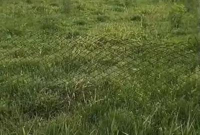 Casă cu 6 camere cu Teren 1400 Mp în Checea - 7