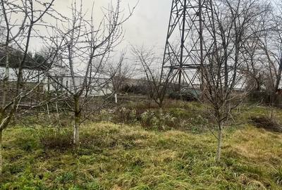 Casa de vanzare trestiana - 2