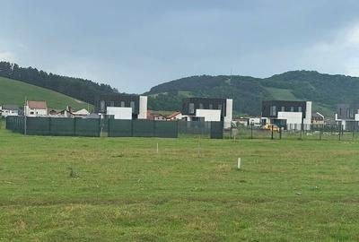 Oportunitate! 550 mp, str Zmeurei, PUZ, Zona rezidentiala 34000 EURO
