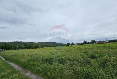 Teren Construcții intravilan de 1495 mp, în Dobreni - 11