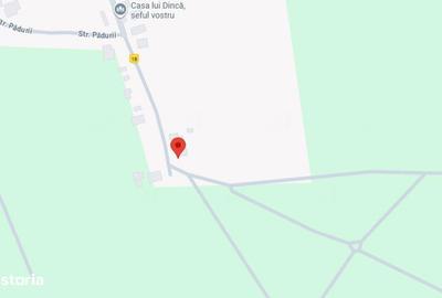 Casă cu 3 camere cu Teren 3487 Mp în Tănăsoaia - 5