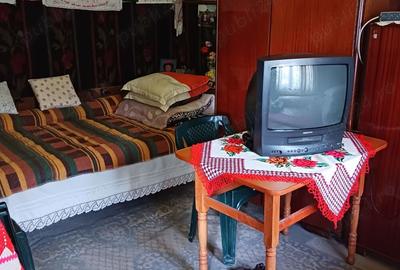 Casa batraneasca de vanzare - 8
