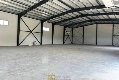 Hala industriala noua de inchiriat – 350 mp | Arad Micalaca Est - 5