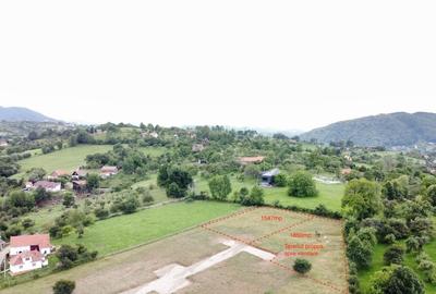 Sohodol, locatie minunata - teren intravilan 1850 mp - 7