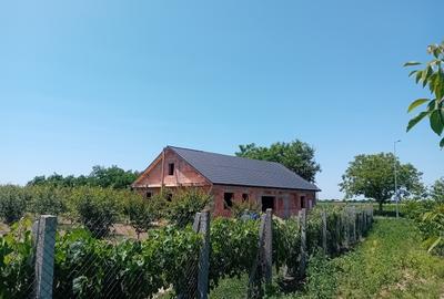 Teren intravilan de 16000 mp, în Belinț - 2