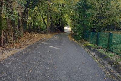 Teren de 10200 mp, în Costești - 6
