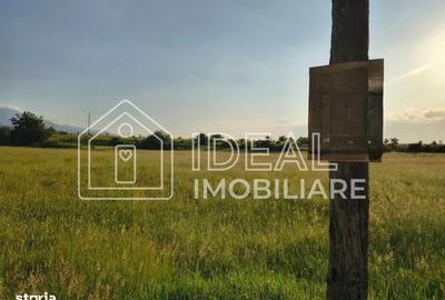 Spațiu comercial, în Cârțișoara - 4