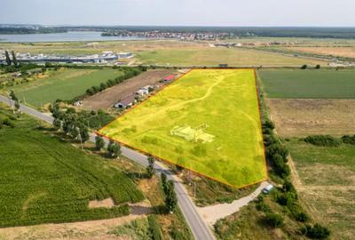 Teren de 30000 mp, în Cernica - 18