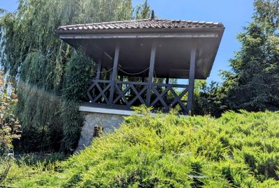 Mogosoaia,vila robusta cu vedere spectaculoasa catre lac,palat,parc,1750mp teren - 6