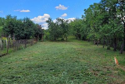 Casă cu 5 camere cu Teren 2300 Mp în Central - 2