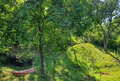 Teren si casa de vacanta ecologica in Stancesti - 3