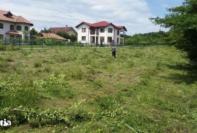 Teren de 3676 mp, în Păulești - 3