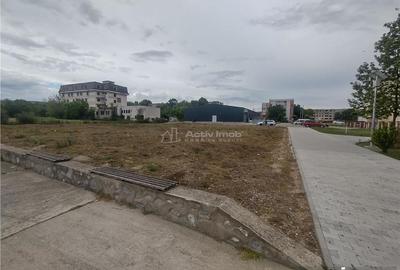 Teren de 1628 mp, în Moldova Nouă - 3