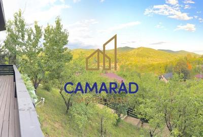 Casă cu 4 camere cu Teren 2377 Mp în Provița de Jos - 13