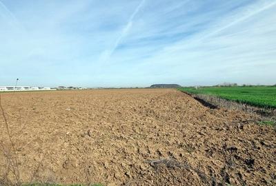 „Corbeanca – aer curat, potențial mare, preț competitiv. 3 loturi cu viitor.” - 6