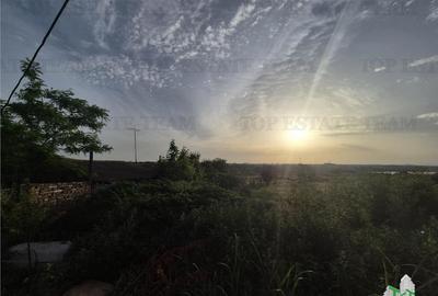 Teren de 600 mp, în Palazu Mare