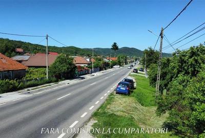 Teren Construcții intravilan de 1895 mp, în Copăcelu - 8