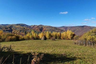 Teren de 13046 mp, în Măguri - 1