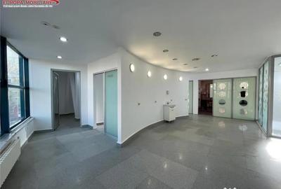Spațiu comercial, de 230 mp, în Piața Veche - 11