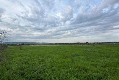 Teren de 1000 mp, în Vernești - 7