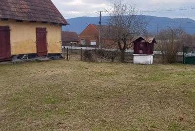 Casă cu Teren 6400 Mp în Zam - 4