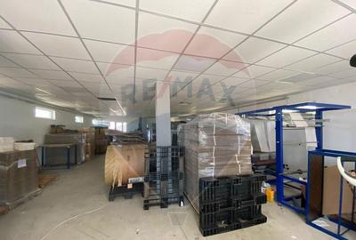 Teren cu hala, Bucsani, Crevedia / DN 61 (A1, A0) 40 Km ... - 14