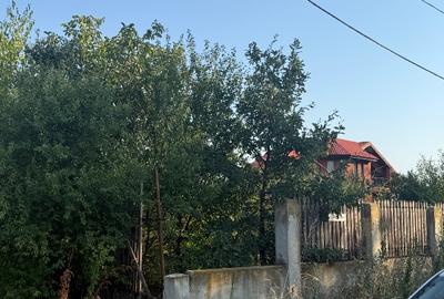 Teren Dn4 Frumusani - 4