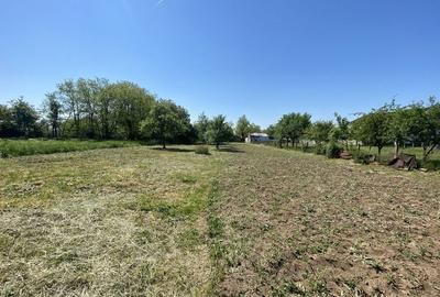 Spațiu comercial, în Sânandrei - 3