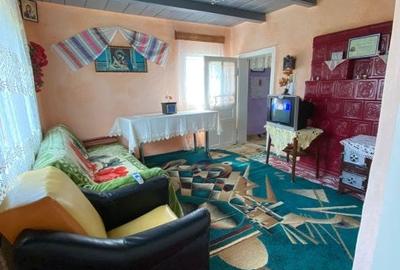 Casa noua + casa renovata in Cucorani - 10