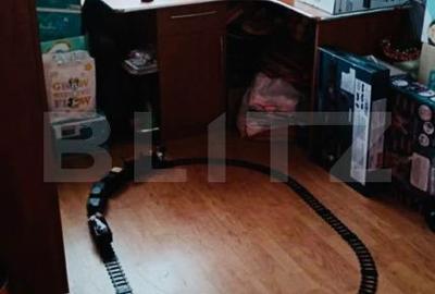 Apartament cu 3 camere în Nufărul - 5