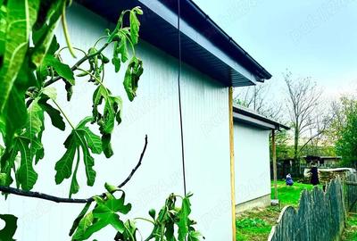 Casă cu 4 camere cu Teren 300 Mp în Central - 4