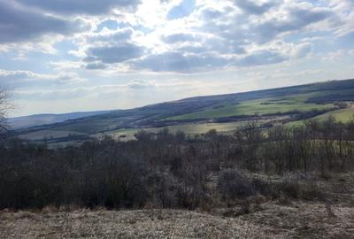 Spațiu comercial, în Țeline - 5