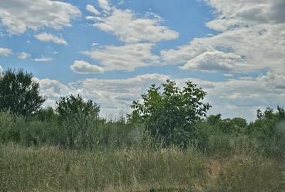 Proprietar vand teren in Baneasa Sisesti, 14.600 mp