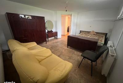 Casă cu 9 camere decomandat cu Teren 3000 Mp în Vladimirescu - 12