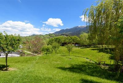 Hotel/Pensiune, de 250 mp, în Bran - 37