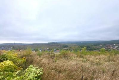 Teren de 1500 mp, în Bârnova - 3