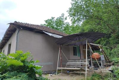 Casă cu 2 camere cu Teren 7650 Mp în Central - 2