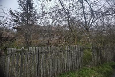 Teren de 5000 mp, în Curcani - 2