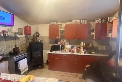 Casă cu 2 camere cu Teren 5800 Mp în Herina - 2