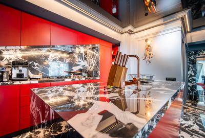 Penthouse cu 4 camere, mobilat în Pipera - 18