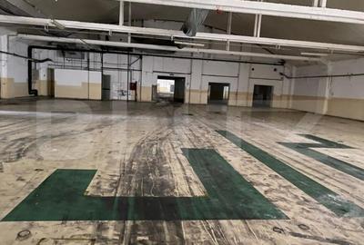 Fosta fabrica de dulciuri, 15533 mp, Freidorf - 17