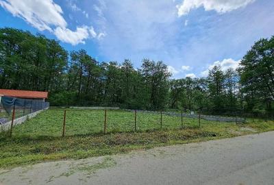 Teren de 700 mp, în Polovragi - 3