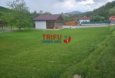 Casă cu 1 camere cu Teren 1335 Mp în Ighiu - 4