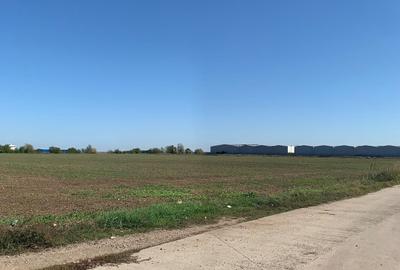 Teren Construcții extravilan de 7500 mp, în Afumați - 1