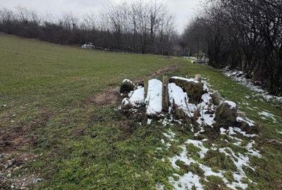 Spațiu comercial, în Central - 2