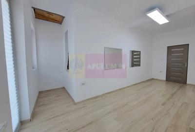 Vila P+3, 12 camere, 300 mp birouri/clinica/locuin?a, Timpuri Noi - 14