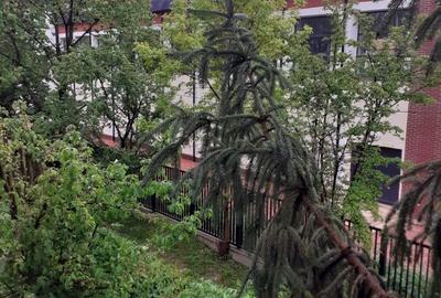 Apartament cu 2 camere în Micro 9