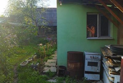 Casă cu 3 camere în Băița - 7