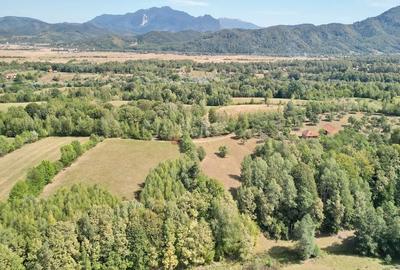 Teren intravilan, priveliste deosebita - 27