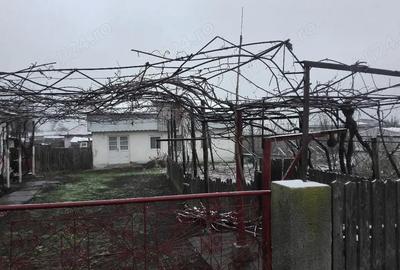 Casă cu Teren 1140 Mp în Străjescu - 5